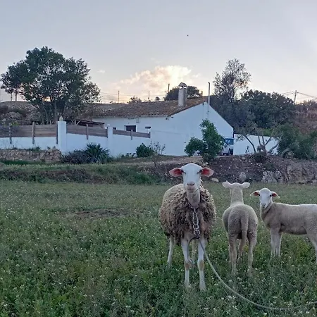 L'ampolleta Holiday home *